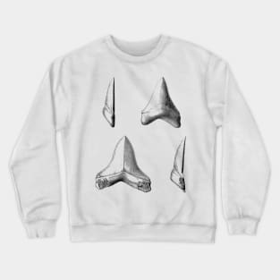 Shark Teeth | Great White Megalodon Fossils Crewneck Sweatshirt